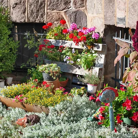 度假居 Gut Bluecherhof Klocksin